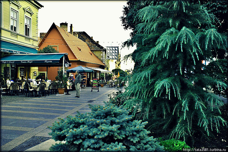 Вышли на основную улицу, которая ведёт в центр города Вышли на основную улицу, которая ведёт в центр города