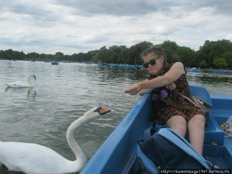 Гайд парк Гайд парк