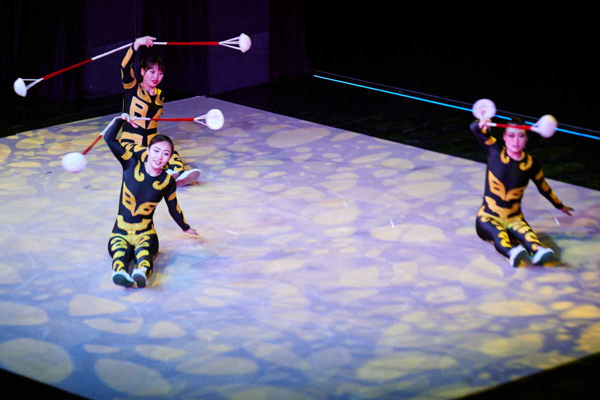 Китайский цирк в Москве Москва, Россия Китайский цирк в Москве Москва, Россия