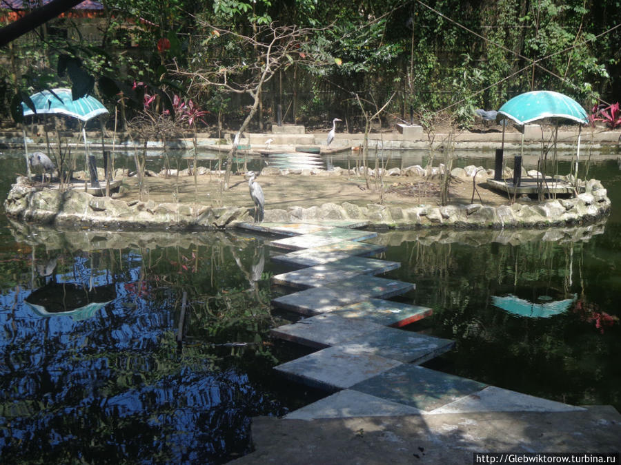 Yangon Zoological Garden Янгон, Мьянма