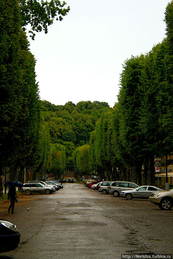 За собором аллея продолжается и становится почти лесной:)) За собором аллея продолжается и становится почти лесной:))