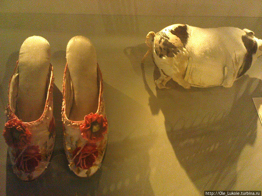 Личные вещи пассажиров Личные вещи пассажиров