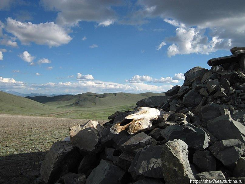 по дороге на Баян-Улгий Монголия