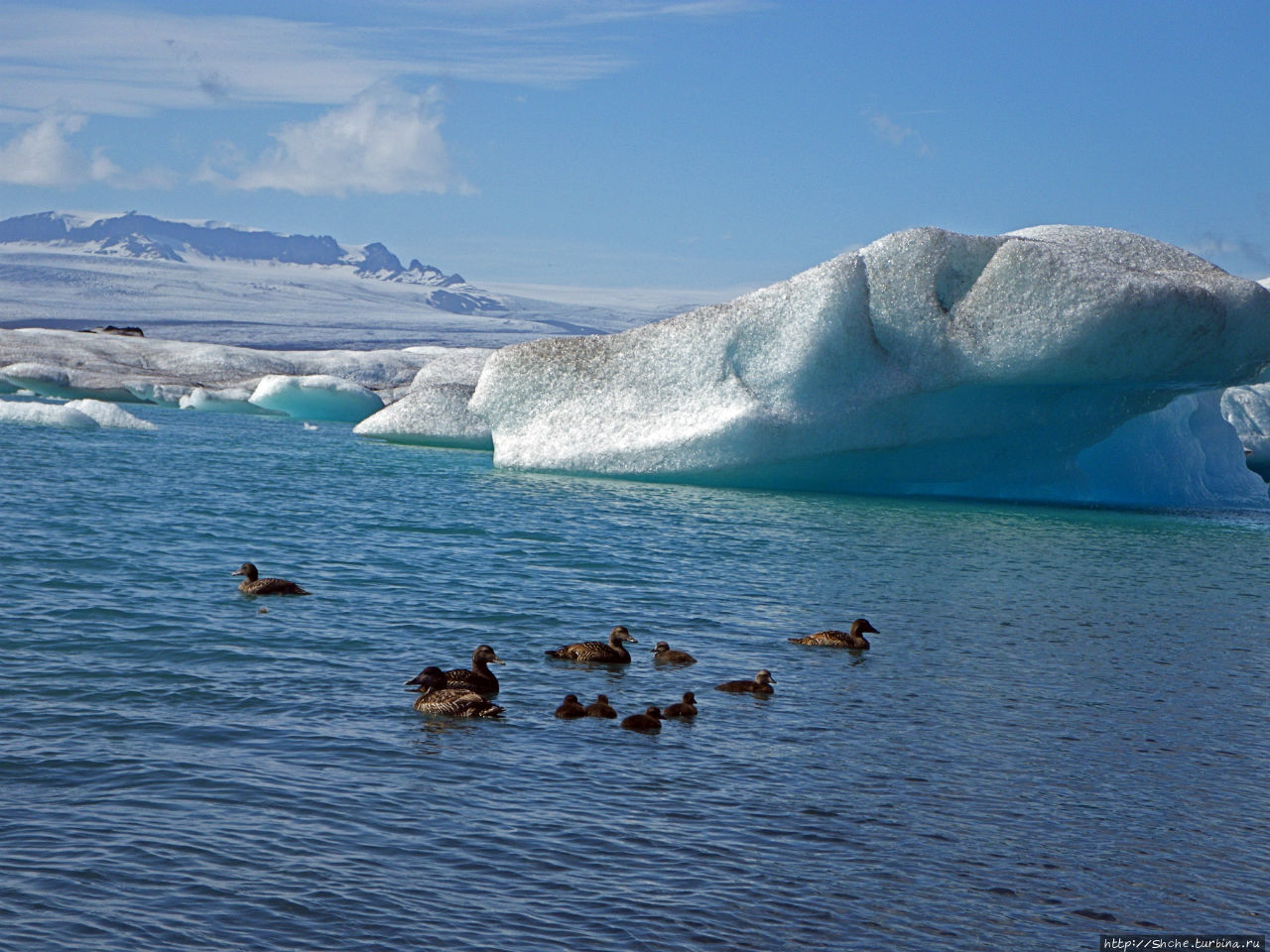 Йекюльсаурлон — исландская Антарктида в миниатюре Йёкюльсаурлоун ледниковая лагуна, Исландия