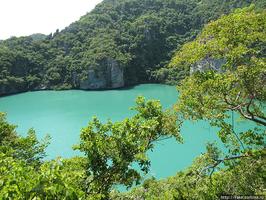 озеро на высоте 90 метров в морском заповеднике ангтон на одном из островов озеро на высоте 90 метров в морском заповеднике ангтон на одном из островов
