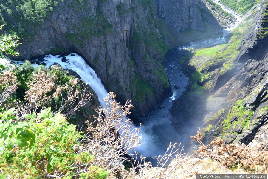 Водопад Ворингфоссен и кто живёт под водопадом Эйдфьорд, Норвегия