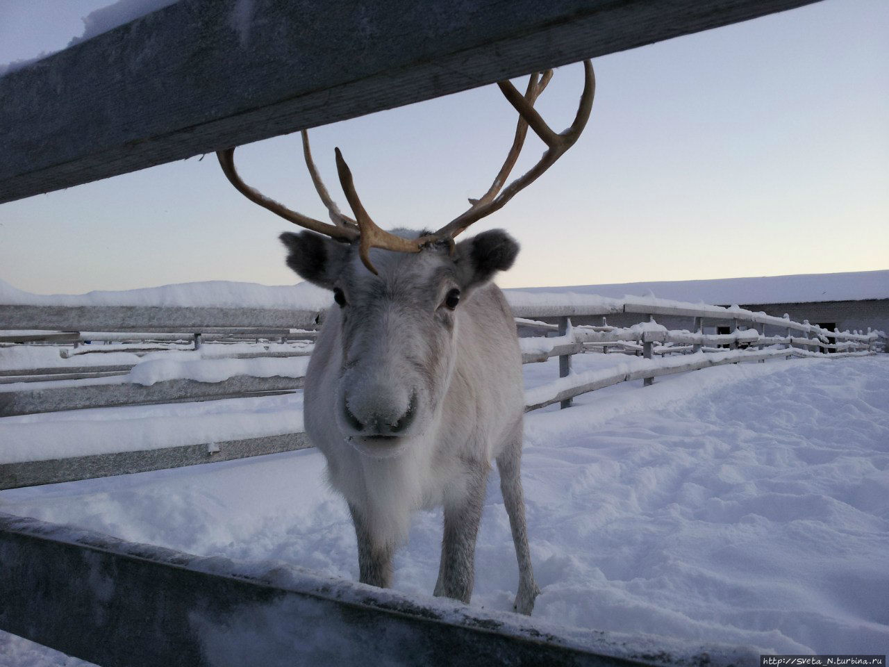 Проект Проект