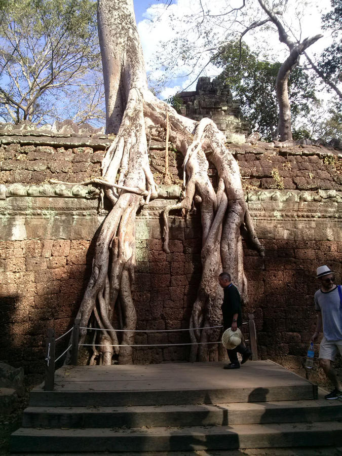 Малый круг. Удивительный Та Пром и остальные храмы Ангкора Сиемреап, Камбоджа