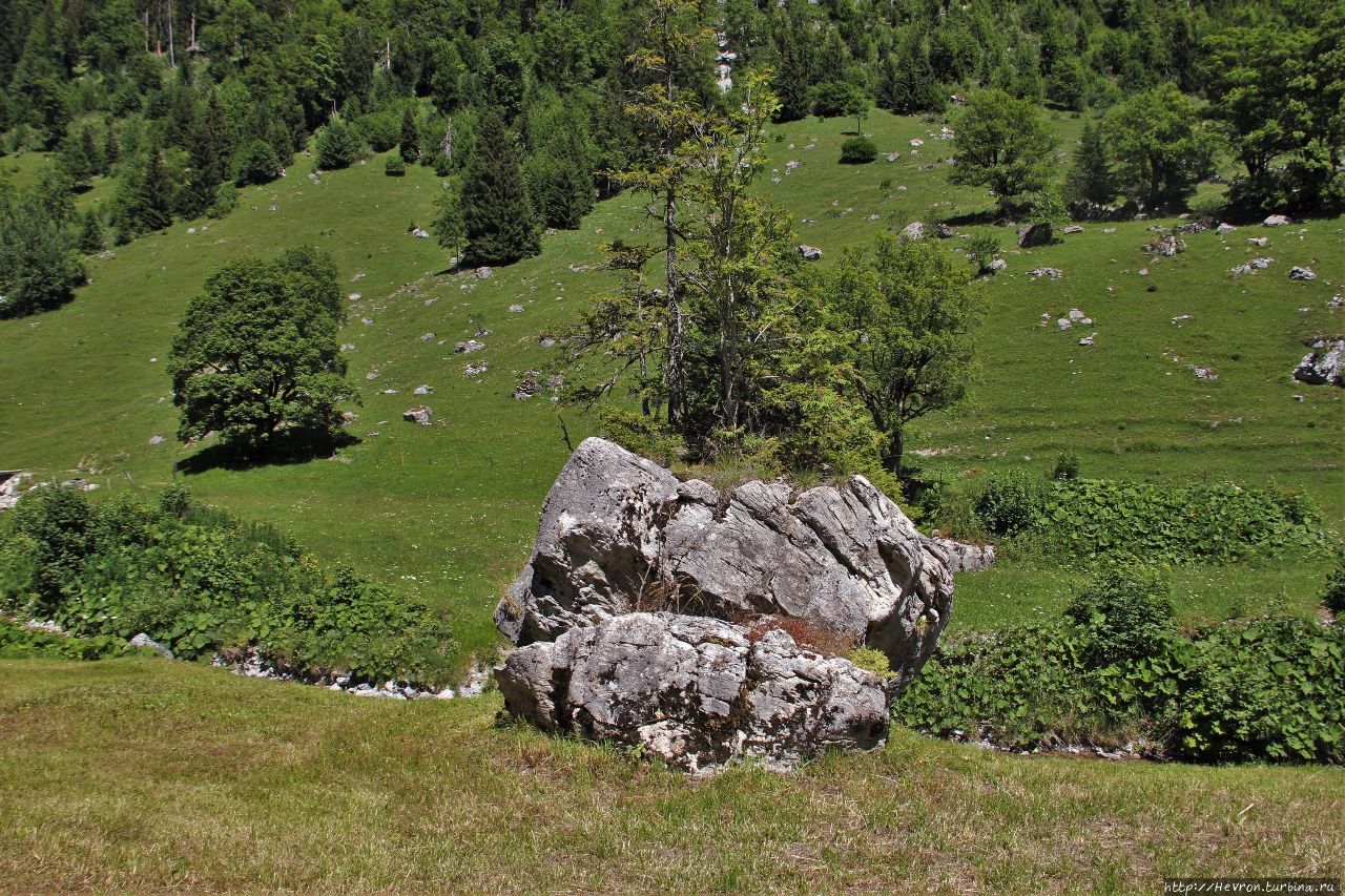 Региональный Природный Парк Дьемтигталь Дьемтигталь Региональный Природный Парк, Швейцария