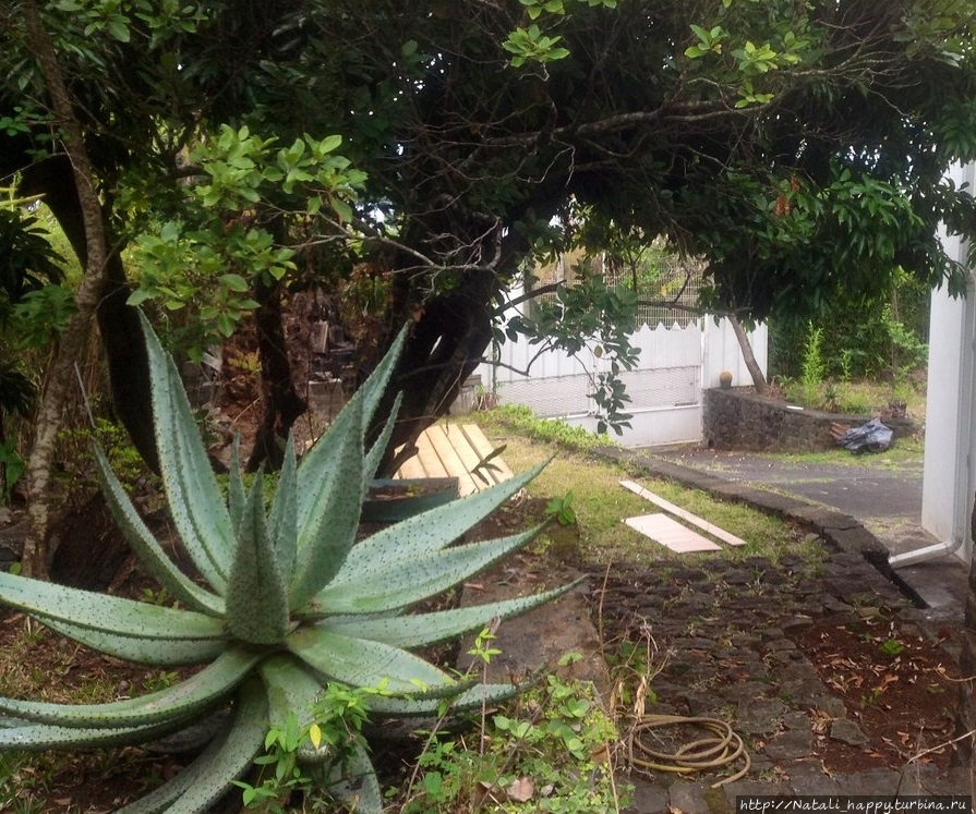 Не было печали... Не было печали...