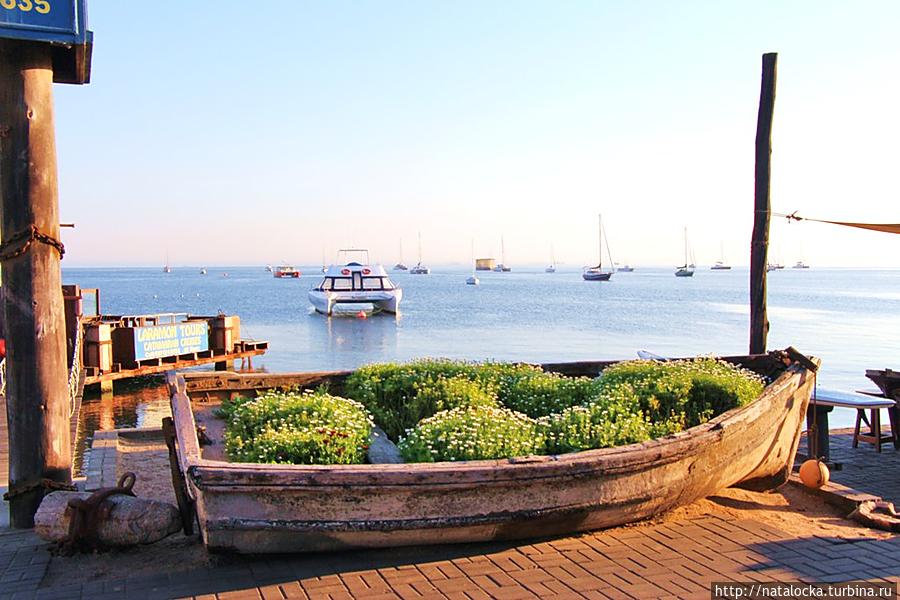 Два счастливых дня в Уолфиш-Бей. Уолфиш-Бей, Намибия Два счастливых дня в Уолфиш-Бей. Уолфиш-Бей, Намибия