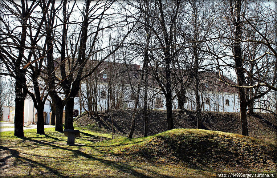 Весенняя прогулка по Нарве или размышления о ботанике Нарва, Эстония