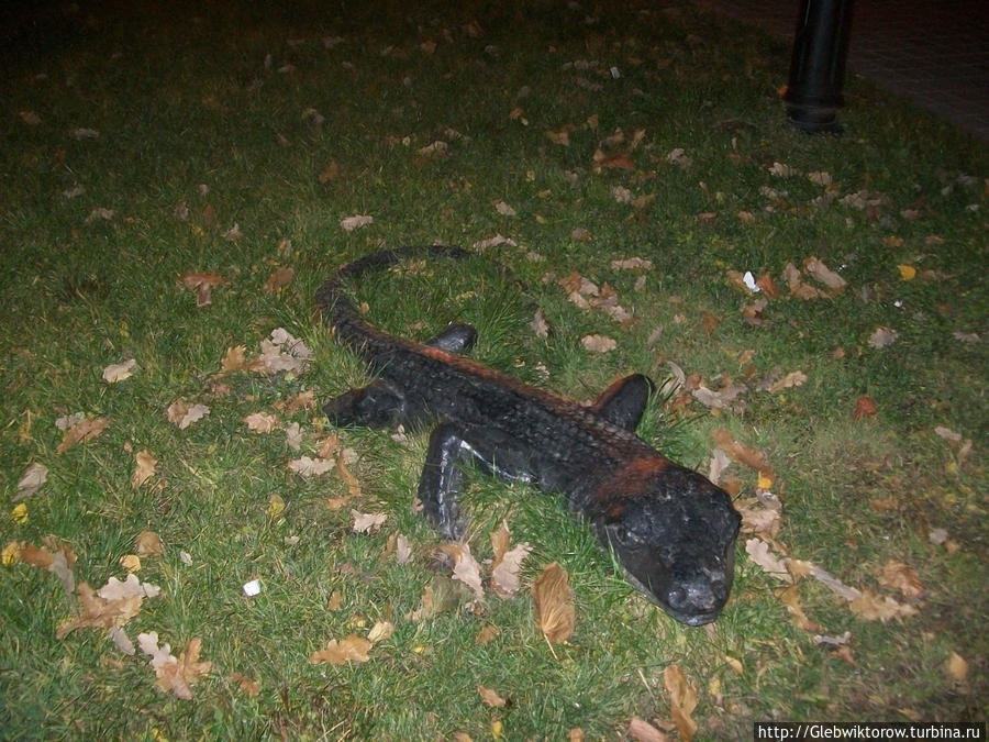 Прогулка по Орше в темноте Орша, Беларусь Прогулка по Орше в темноте Орша, Беларусь