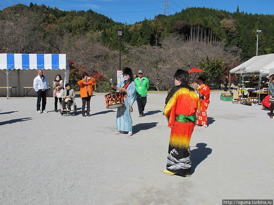 Праздник цветения осенней сакуры в местечке Обара, пригороде города Тойота Праздник цветения осенней сакуры в местечке Обара, пригороде города Тойота