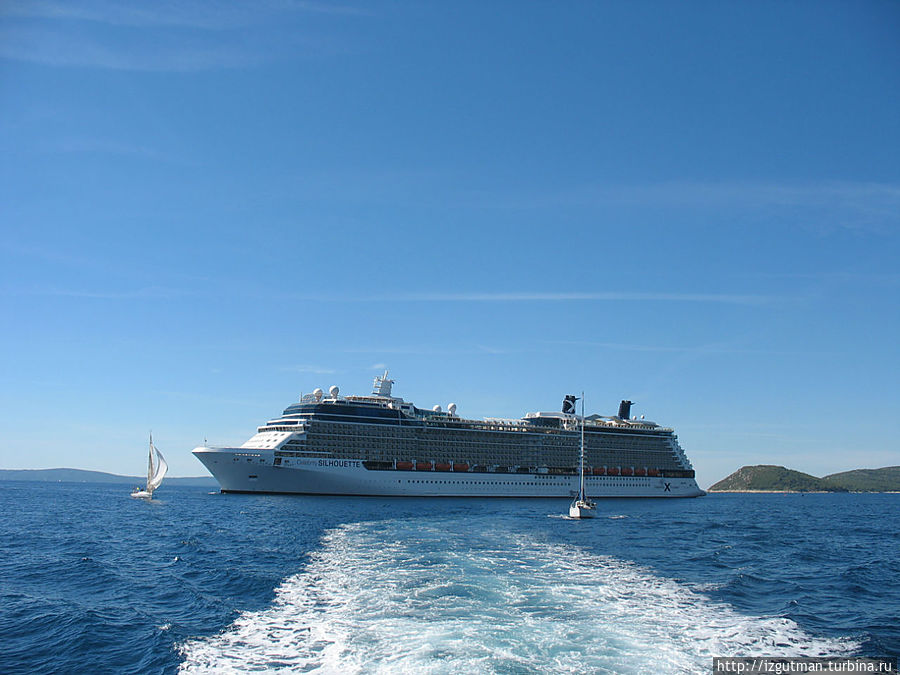 Это наш красавец Это наш красавец