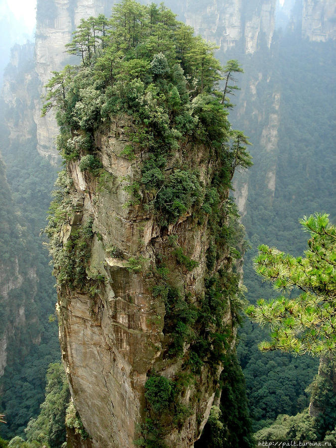 Цзянькуньчжу (Южный Небесный Столб). Он даже без фотошопа парит в воздухе Чжанцзяцзе Национальный Лесной Парк (Парк Аватар), Китай