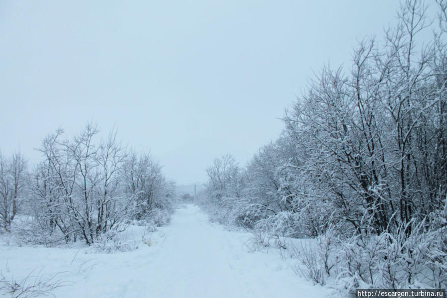 Путь к Новому году: снежный Кировск и местный транспорт Кировск, Россия