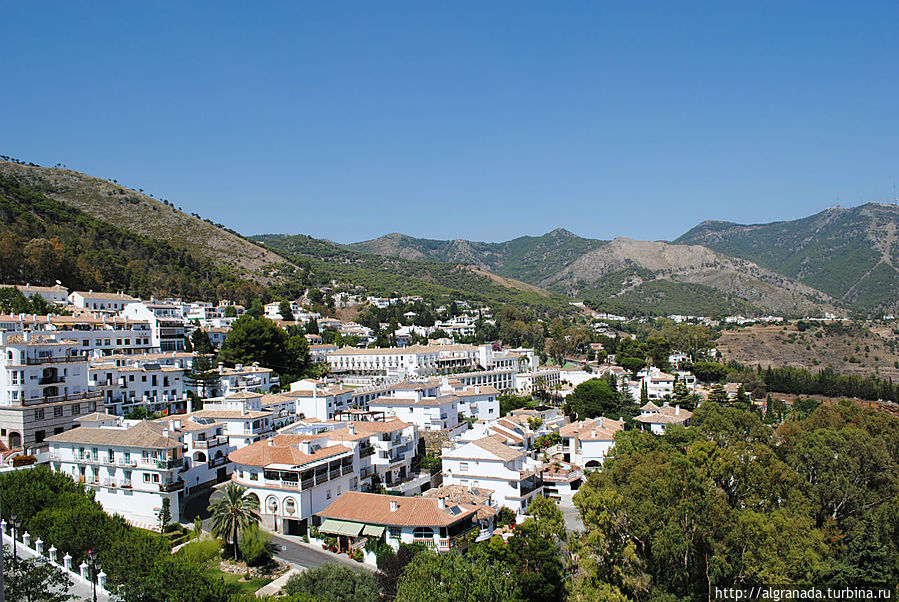 Михас Михас