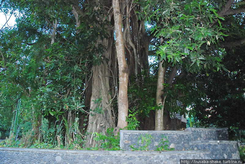 Пура Деса  — Деревенский храм Легиан, Индонезия