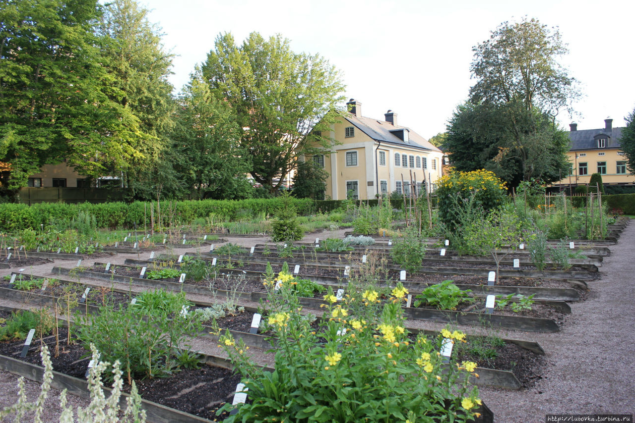 Сад Линнея Уппсала, Швеция