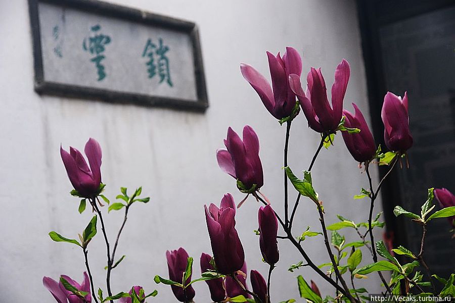 Весна в монастыре Шаолинь Шаолинь, Китай