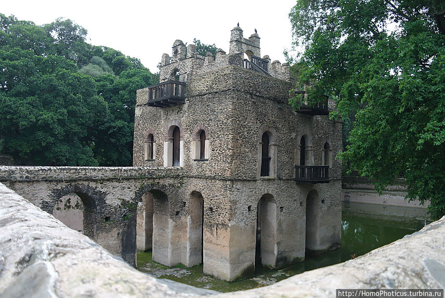 Бассейн Фасилидаса Бассейн Фасилидаса