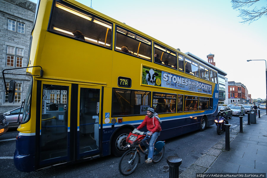 Дублинский Транспорт: Автобус. Дублин, Ирландия