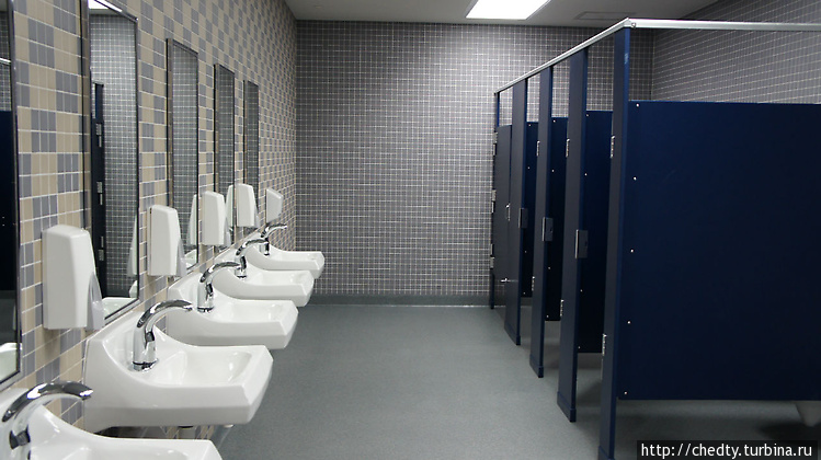 А у нас в школе туалет вы А у нас в школе туалет вы