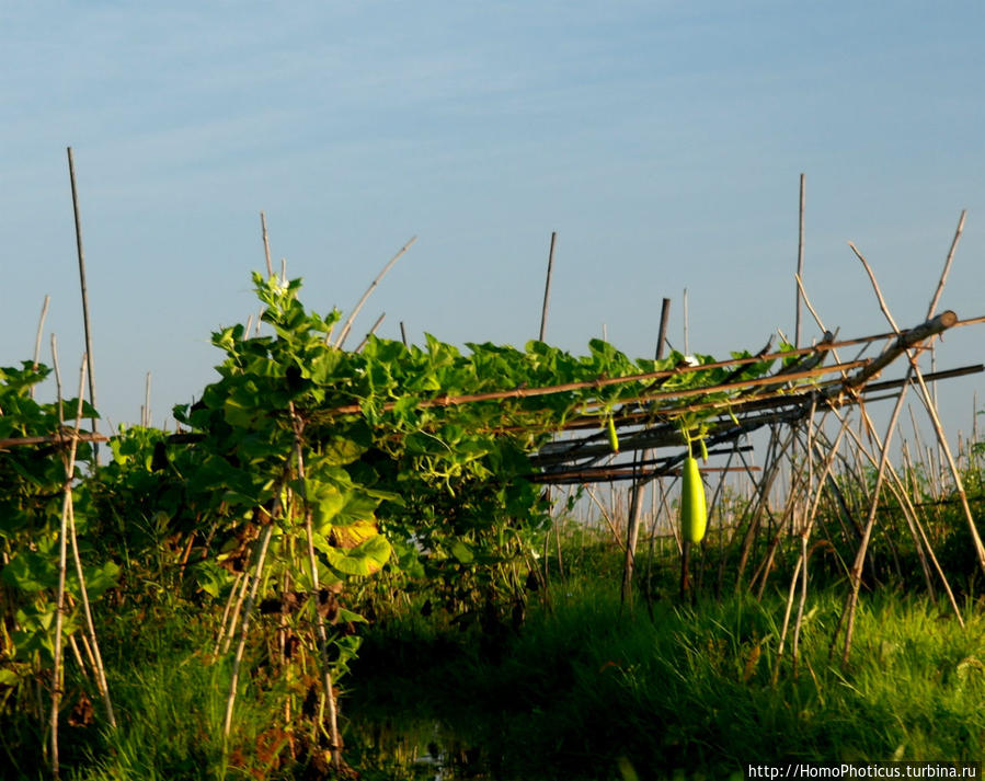 Жизнь на воде Озеро Инле, Мьянма Жизнь на воде Озеро Инле, Мьянма