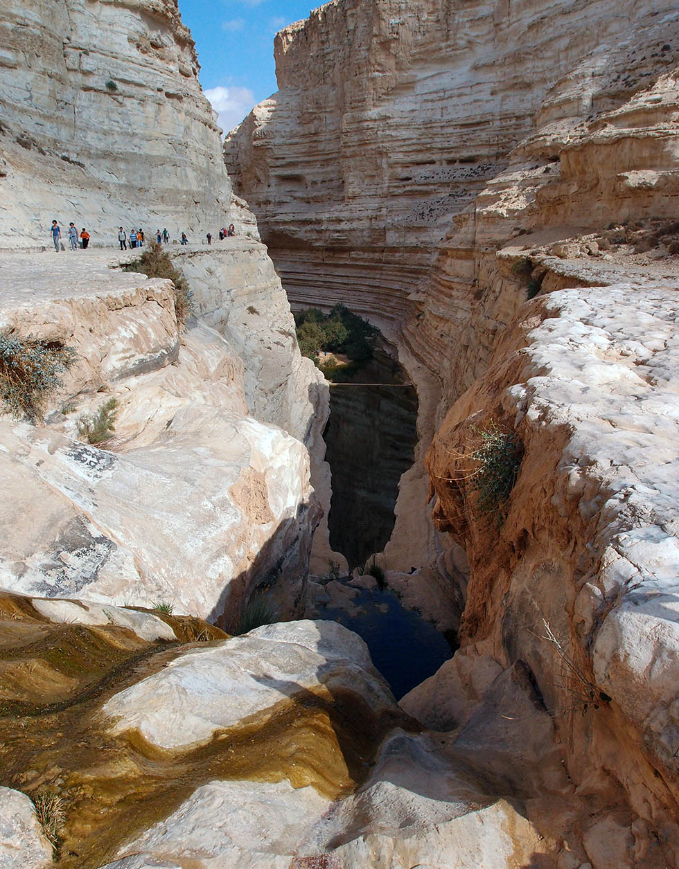 Волшебство пустыни. Эйн-Авдат Эйн-Авдат Каньон, Израиль Волшебство пустыни. Эйн-Авдат Эйн-Авдат Каньон, Израиль
