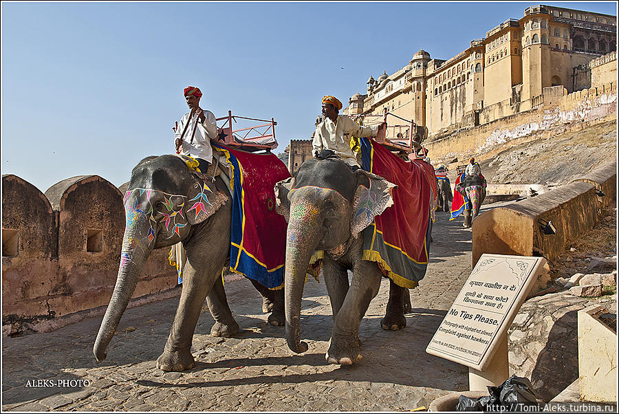 Как попасть в Рай на слонах (Индийские Приключения ч36) Джайпур, Индия