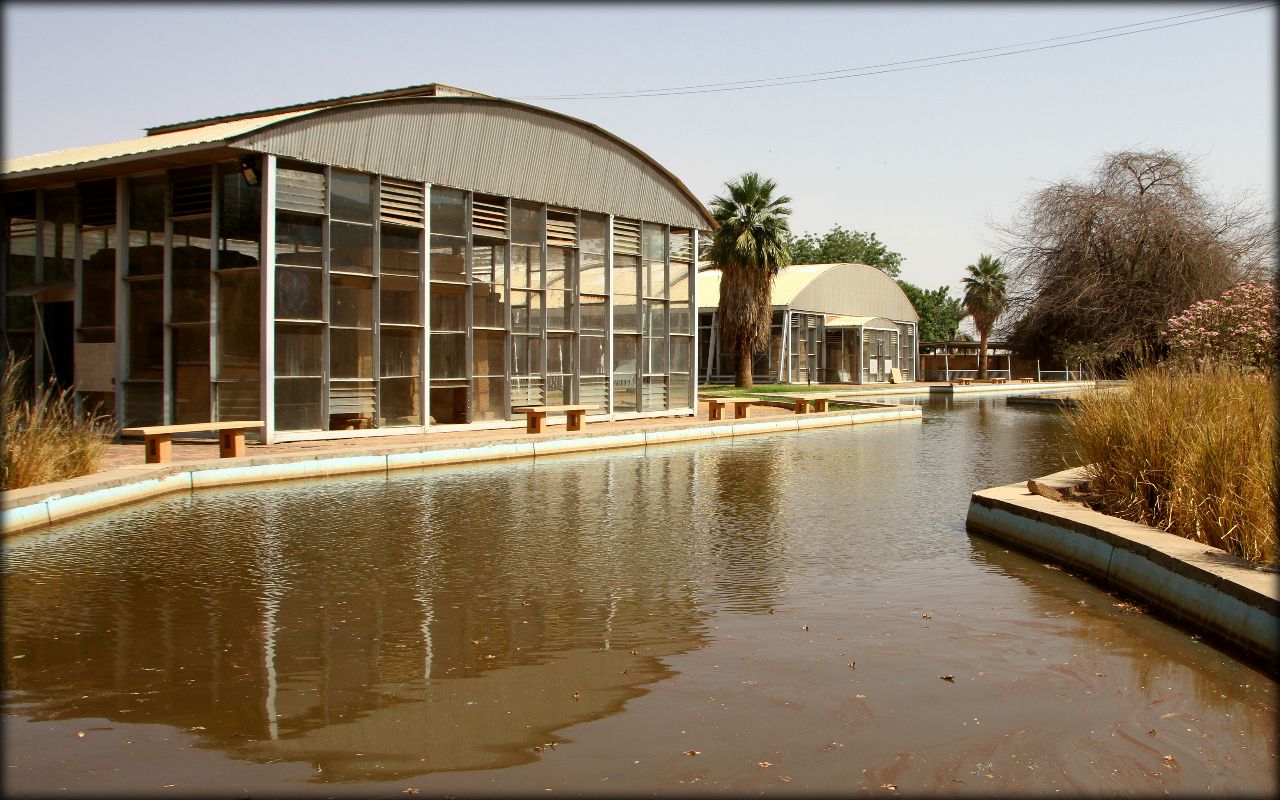 Национальный музей Судан Хартум, Судан
