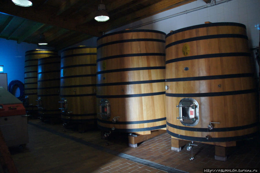 Выдержка вина в дубовых бочках Галисия, Испания