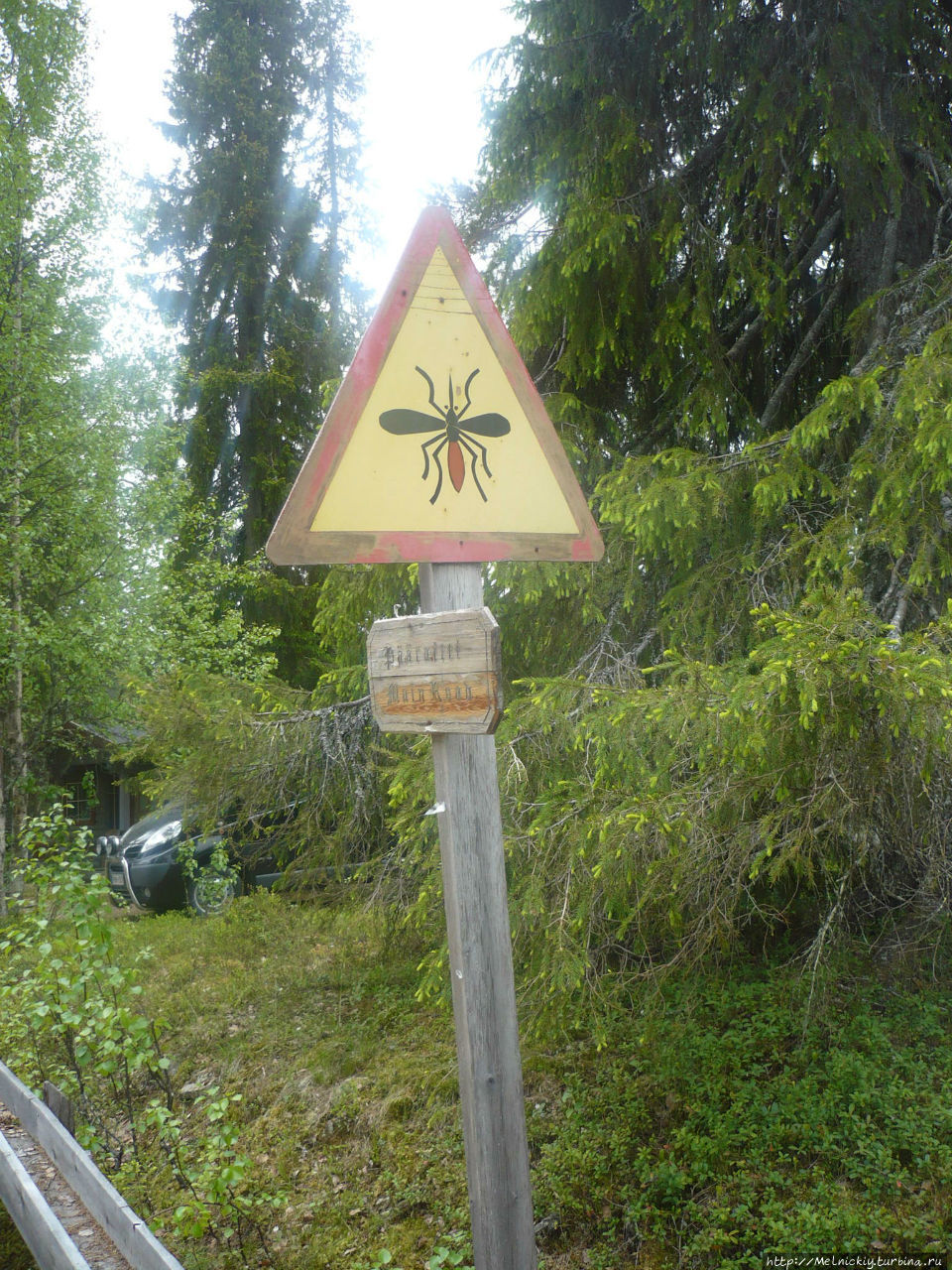 По следам золотой лихорадки Танкаваара, Финляндия