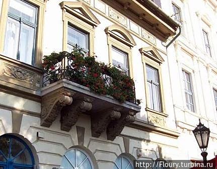 Венгры очень любят украшать окна и балконы цветами. Даже зимой. Эгер, Венгрия