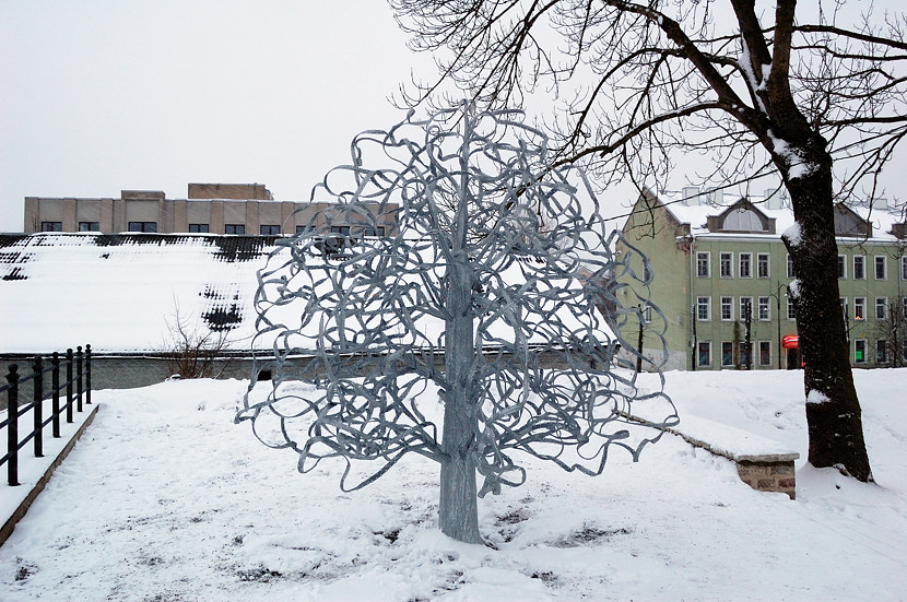Свадебное дерево Нарва, Эстония