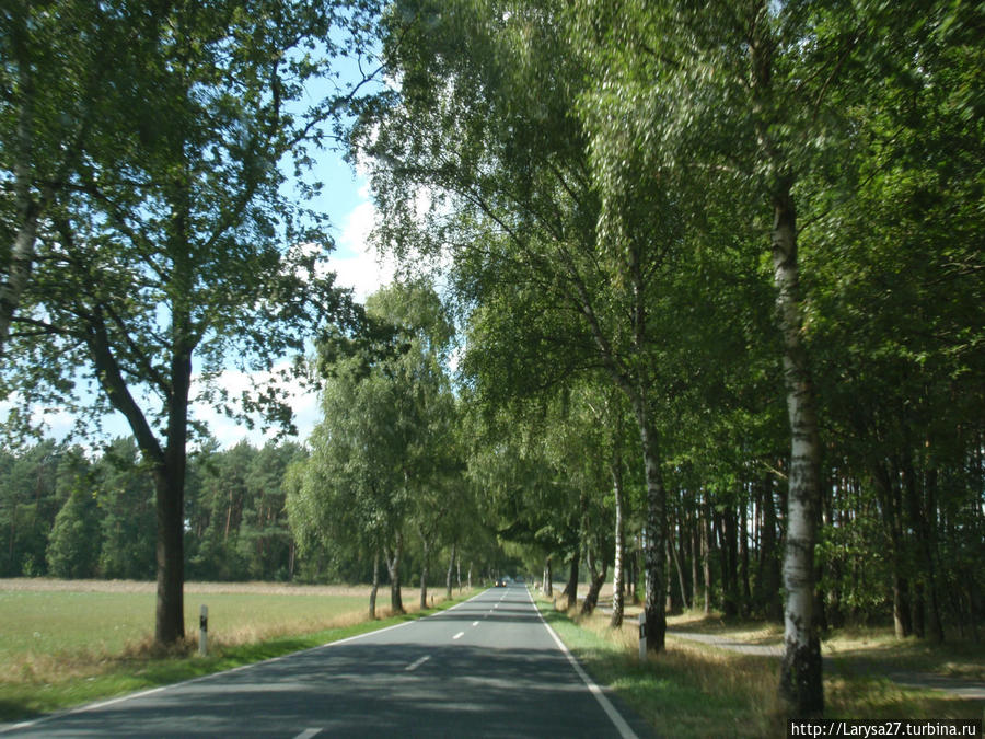 Дорога из Люнебурга в Ундело. Фото через лобовое стекло машины Земля Нижняя Саксония, Германия