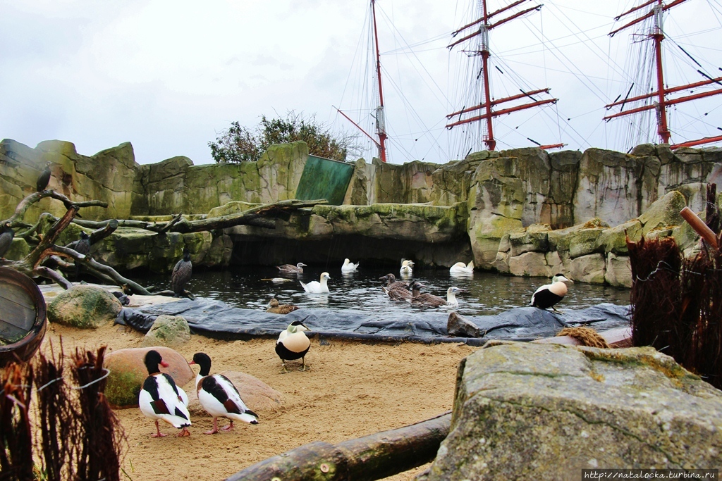 Зоопарк у моря в Бремерхафене. Бремерхафен, Германия