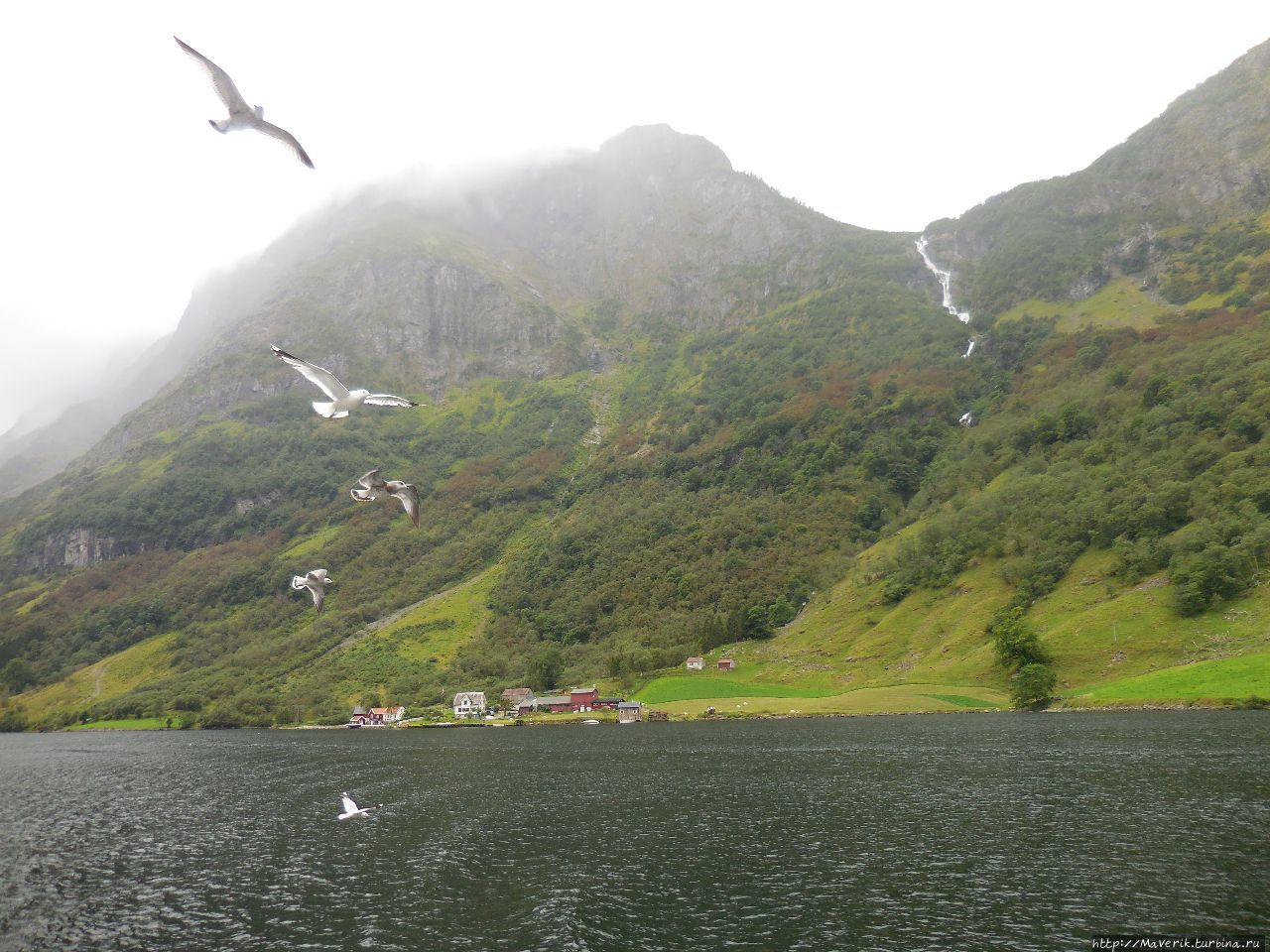 Неройфьорд — круиз по самому узкому в мире фьорду Неройфьорд, Норвегия