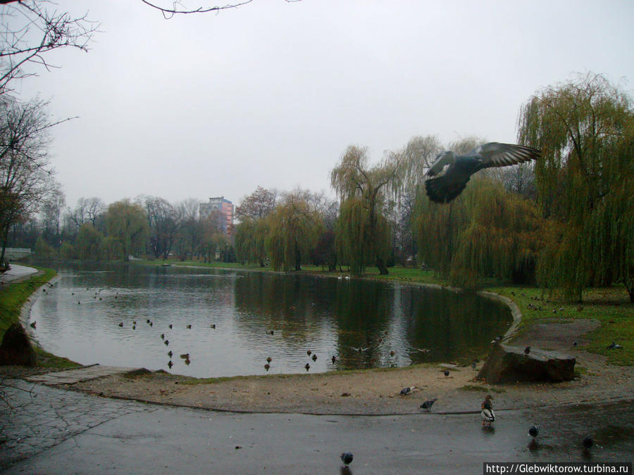 Park miejski Кельце, Польша