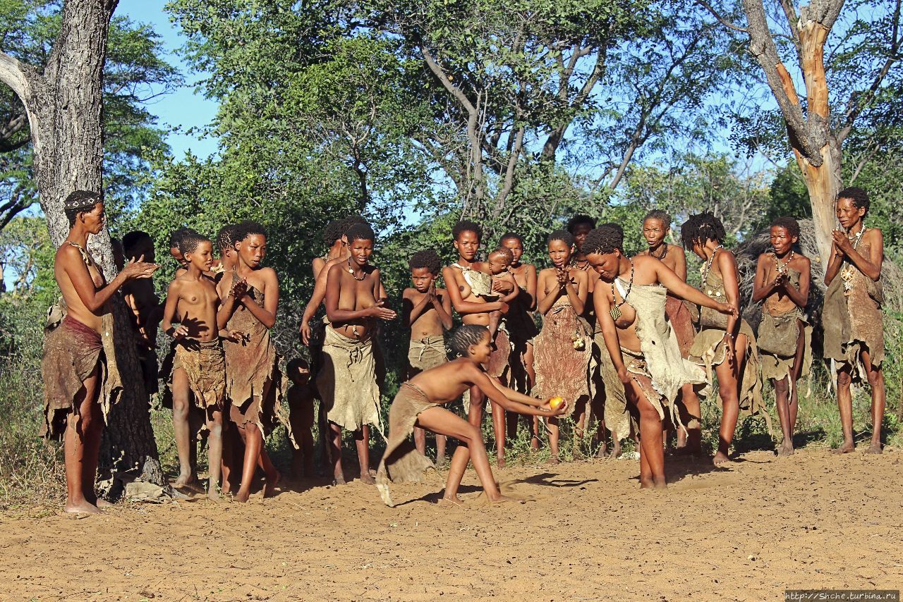 Живой музей Ю/'Хоанси-Сан Грашоек, Намибия Живой музей Ю/'Хоанси-Сан Грашоек, Намибия