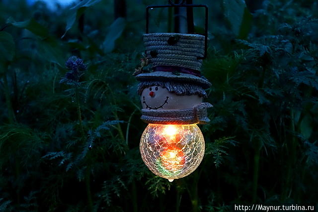 Макушка лета. Разнотравье, разноцветье Южно-Сахалинск, Россия Макушка лета. Разнотравье, разноцветье Южно-Сахалинск, Россия