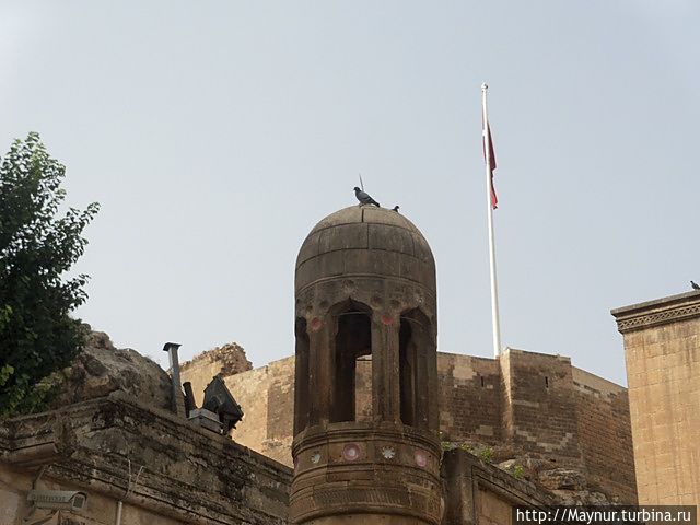 Угловая башенка. Шанлыурфа, Турция Угловая башенка. Шанлыурфа, Турция