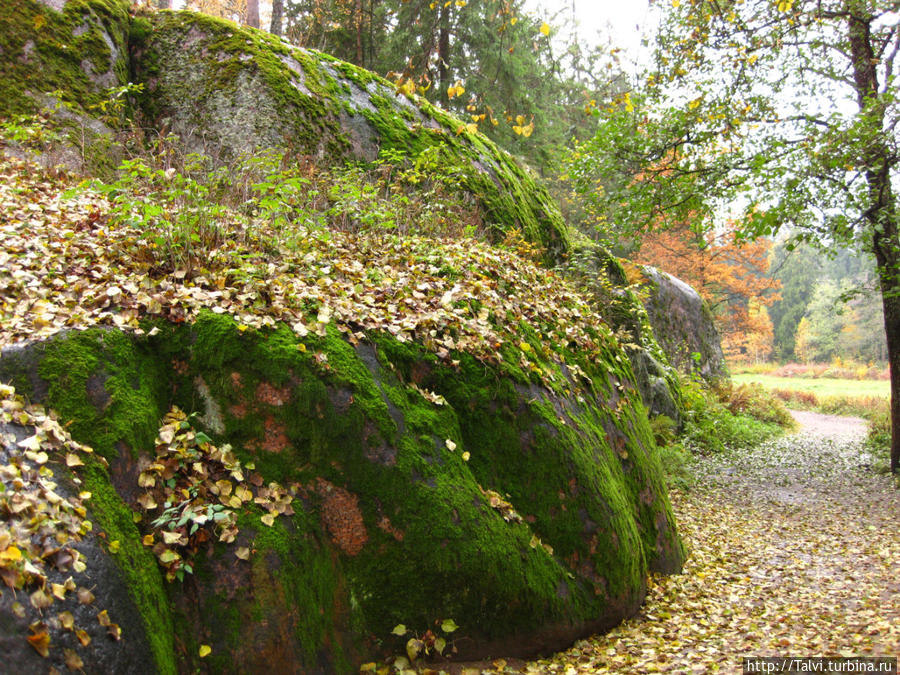 Прощание с Монрепо. Выборг, Россия Прощание с Монрепо. Выборг, Россия