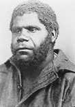 Абориген Тасмании
