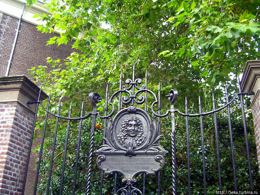 Изображение Антони ван Ле́венгука — натуралиста и конструктора микроскопов. Родился в Делфте. Изображение Антони ван Ле́венгука — натуралиста и конструктора микроскопов. Родился в Делфте.