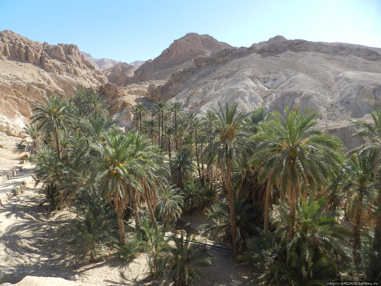 Экскурсия в Сахару. Ч — 7. Шебика — райский оазис Сахары Оазис Шебика, Тунис Экскурсия в Сахару. Ч — 7. Шебика — райский оазис Сахары Оазис Шебика, Тунис