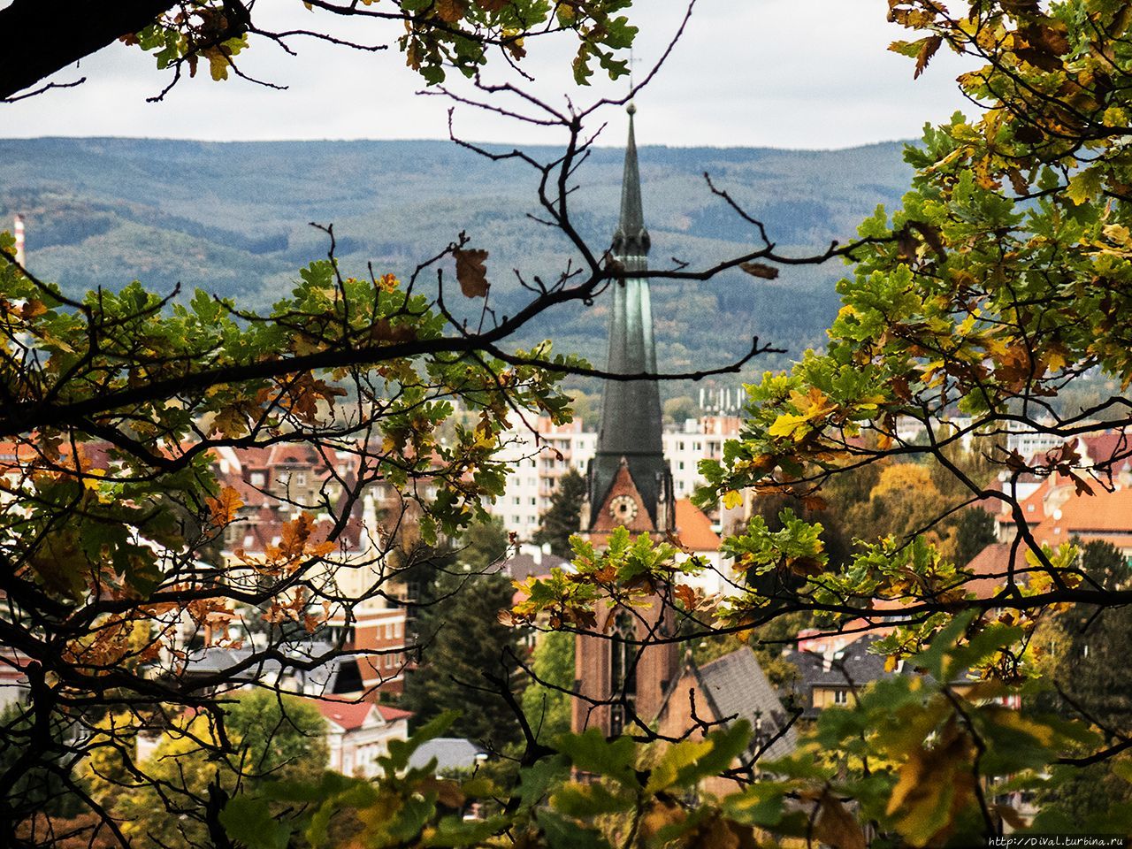 Каштановаый лес Богемии или В чешских Холмогорах Теплице, Чехия