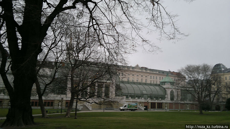 Дом Бабочек Дом Бабочек