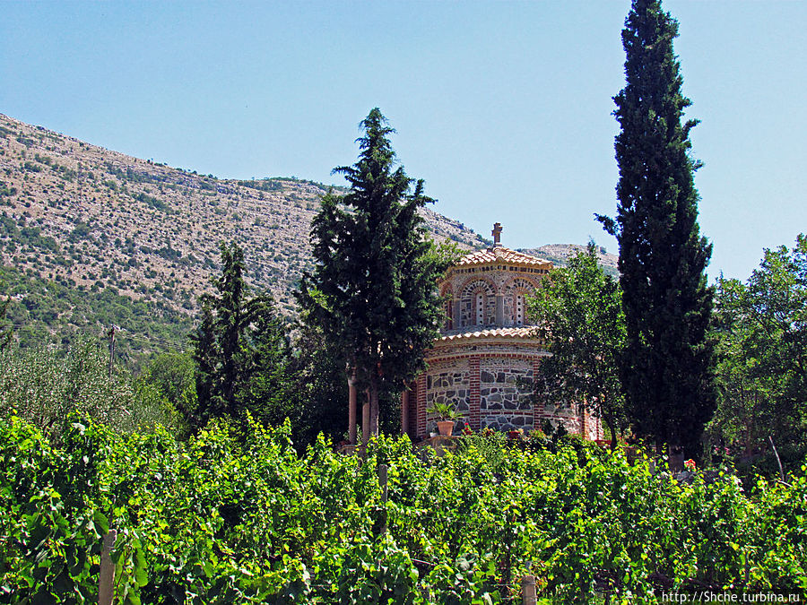 за виноградниками виднеется современная часовня на монастырском кладбище Республика Сербская, Босния и Герцеговина